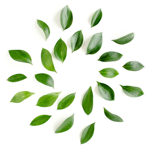 ARMAL commitment for a sustainable future
